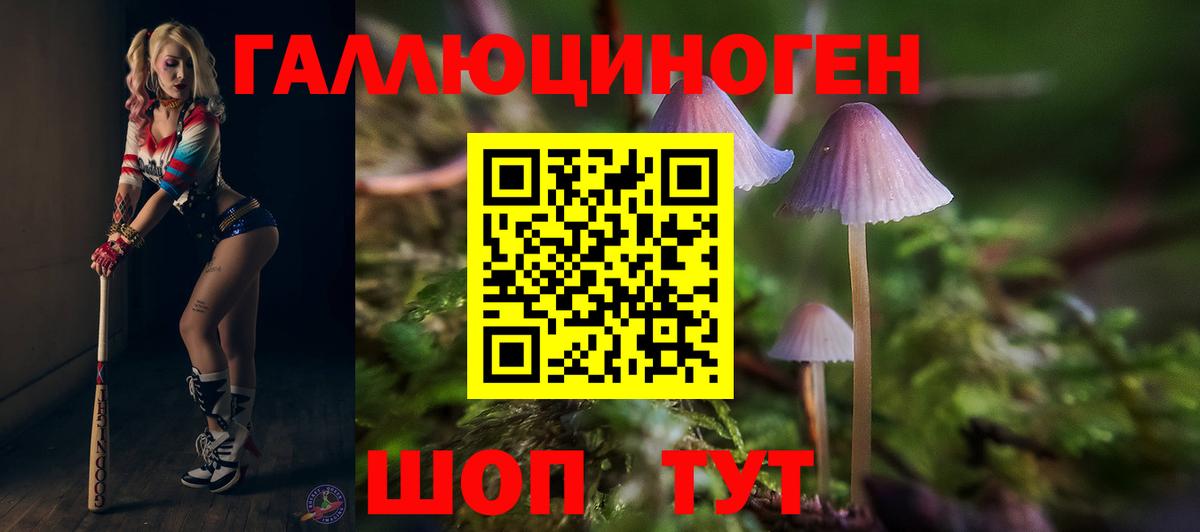 Москва  где купить   Вход с VPN  Псилоцибиновые грибы прущие грибы 